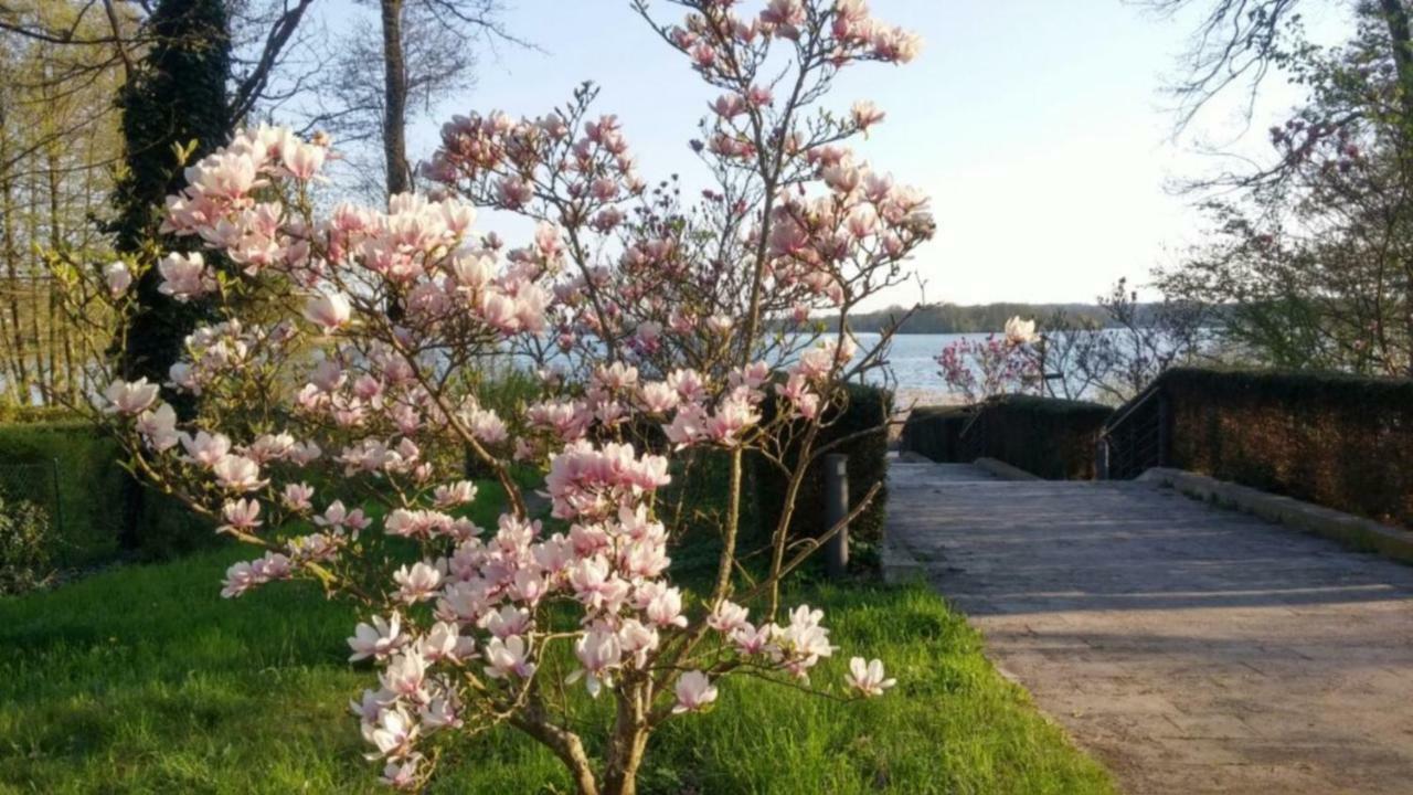 Seeblick III 바트 자로 외부 사진